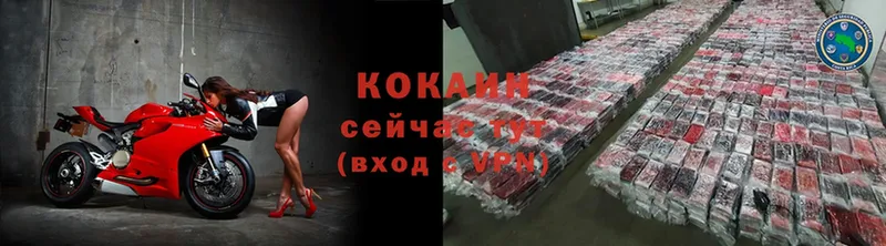 COCAIN VHQ  маркетплейс состав  Ессентуки 