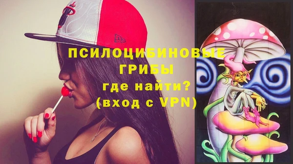 шишки Красноперекопск