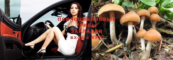 гидропоника Краснослободск