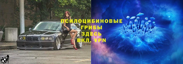 шишки Красноперекопск