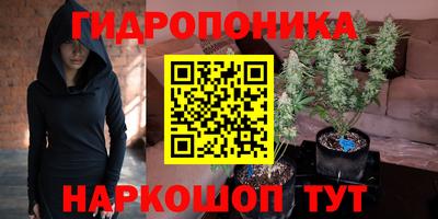 стафф Балаково