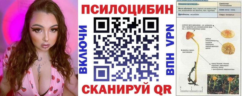 Галлюциногенные грибы MAGIC MUSHROOMS  купить наркотик  Ессентуки 