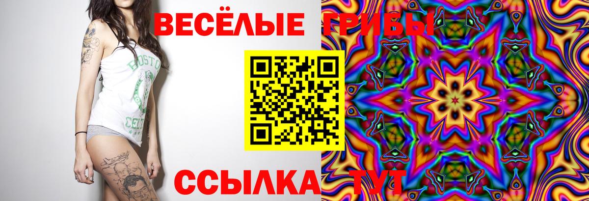 Псилоцибиновые грибы мухоморы  Ессентуки 