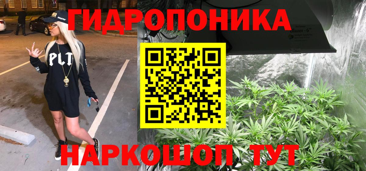 Бошки Шишки марихуана  Ессентуки  Шишки марихуана OG Kush  Канабис планчик  Шишки марихуана White Widow 